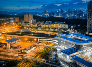 口岸通关服务(图1)