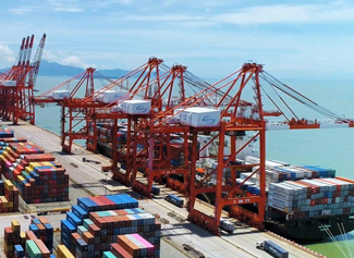 口岸通关服务(图13)