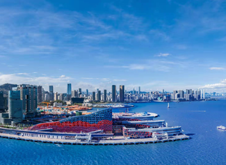 口岸通关服务(图11)